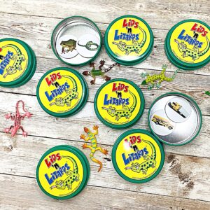 image of Lids and Lizards game with nine metal lids, magnetic pictures, and toy lizards